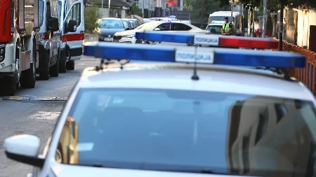 Hraniteljka devojčicu o kojoj se brinula zamenila za majmuna: Neverovatan slučaj