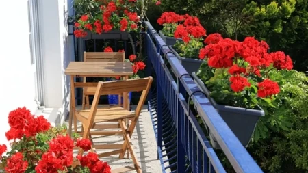 Idete na odmor, a nema komšinice da vam zalije cveće? Evo kako da sačuvate saksije od sušenja cele 2 nedelje