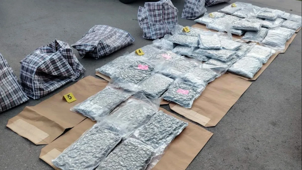 Zaplenjeno više od 58 kilograma marihuane u Sremskoj Kamenici! Uhapšen Beograđanin (28)