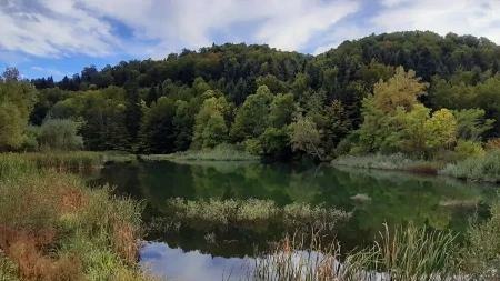 Savršeno mesto za beg od gužve i gradske vreve: Ova srpska planina će vas oduševiti prelepom netaknutom prirodom
