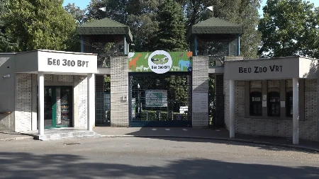 Ljubavna priča iz Beo zoo vrta kao iz filma: Vratio se iz Afrike, doveo partnerku i sada imaju potomke