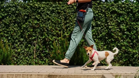 Suze idu od smeha: Gazdarica i pas napravili spektakl na ulici, kuče šašavo, a ono što je ona uradila još luđe