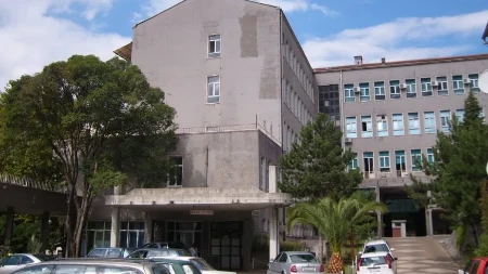 Uzrok nesreće umor i pospanost vozača: Detalji tragedije u kojoj su stradali srpski državljani kod Nikšića 