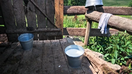 Stočari mogu da se prijave - počeo novi krug isplate premija za mleko
