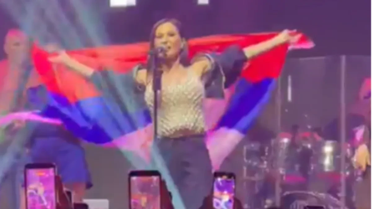 Hitno prekinula koncert! Ceca Ražnatović burno odreagovala: "Šta je bre ovo?!" 