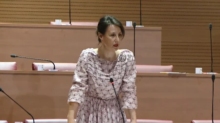 Opšta svađa u hrvatskom Saboru zbog BiH! "Ne vuci me za jezik! Vi se prosustaše!"