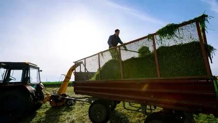 Poljoprivrednicima leglo 79 milijardi dinara - isplaćeno više od 77 odsto subvencija