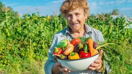 Tajne bašti iz vremena Jugoslavije: Zato su naše bake brale paradajz težak i po kilogram, a danas jedva naraste do dlana