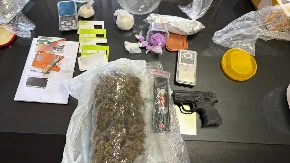 Hapšenje kod Bačke Palanke! Osumnjičenom za prodaju droge pronađeni amfetamin, ekstazi, kokain i ilegalni pištolj