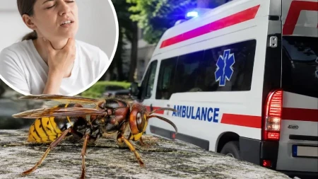 "Nisam verovala da ću preživeti": Žena opisala jezive trenutke posle uboda stršljena: Za nekoliko sekundi ostala sam bez vazduha