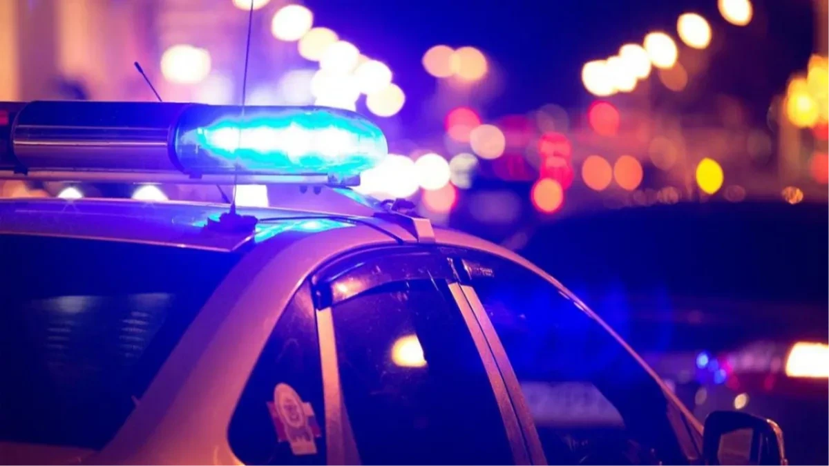Policajci na dužnosti u službenom autu imali odnose s meštankom: Sve snimali telefonom, a onda se dogodio haos 