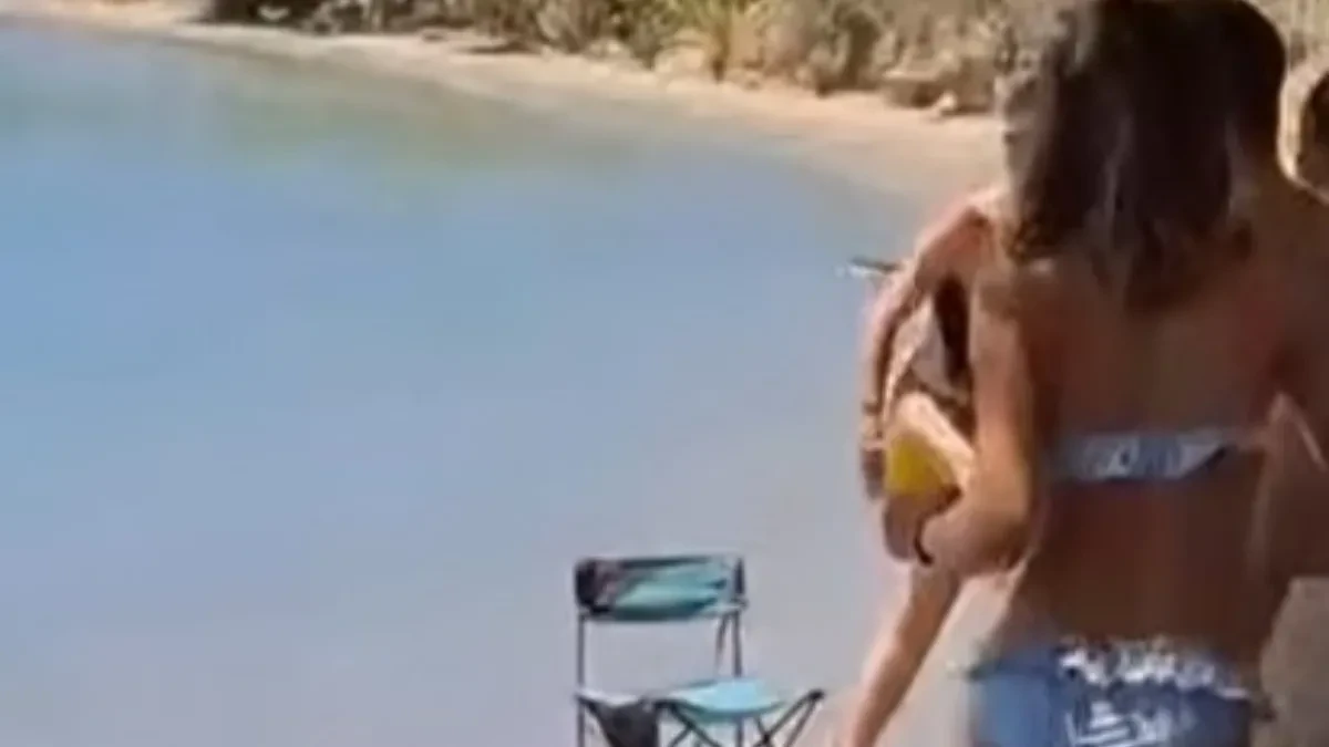 Horor u plićaku: Kupači zanemeli kada su ugledali zver tik uz obalu, snimak obišao region!