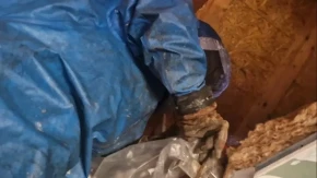 Na tavanu ih je čekao horor: Vladica morao hitno da obuče specijalno odelo zbog prizora koji je zatekao!