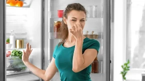Mesto u frižideru koje je prepuno bakterija, a svi ga ignorišu