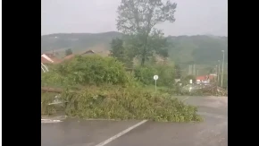 Srbija na udaru apokaliptičnog nevremena! Vetar čupa drveće iz korena, putevi blokirani, haos već počeo