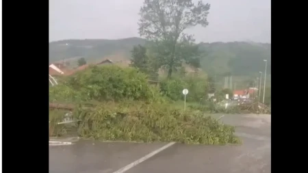 Srbija na udaru apokaliptičnog nevremena! Vetar čupa drveće iz korena, putevi blokirani, haos već počeo