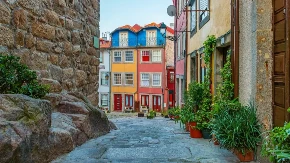 Redak otrovni pauk šokirao naučnike: Pronađen je u popularnom turističkom gradu - "Ovo je prvi zabeleženi slučaj"