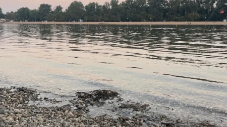 Kupači nisu ni svesni kakvo se blago krije na dnu Ade Ciganlije: Roniocima je ovo pravo otkriće, a kažu da put do tamo nije jednostavan