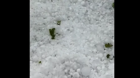 Grom usmrtio više od 30 ovaca: Kiša pljušti kao iz kabla, tuče i krupan grad