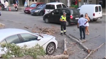 Oluja u Istanbulu čupala drveće i rušila krovove! Scene odande su kao posle apokalipse