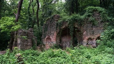 Da li ste znali da u Istanbulu postoji oaza mira, čije je ime Beogradska šuma?