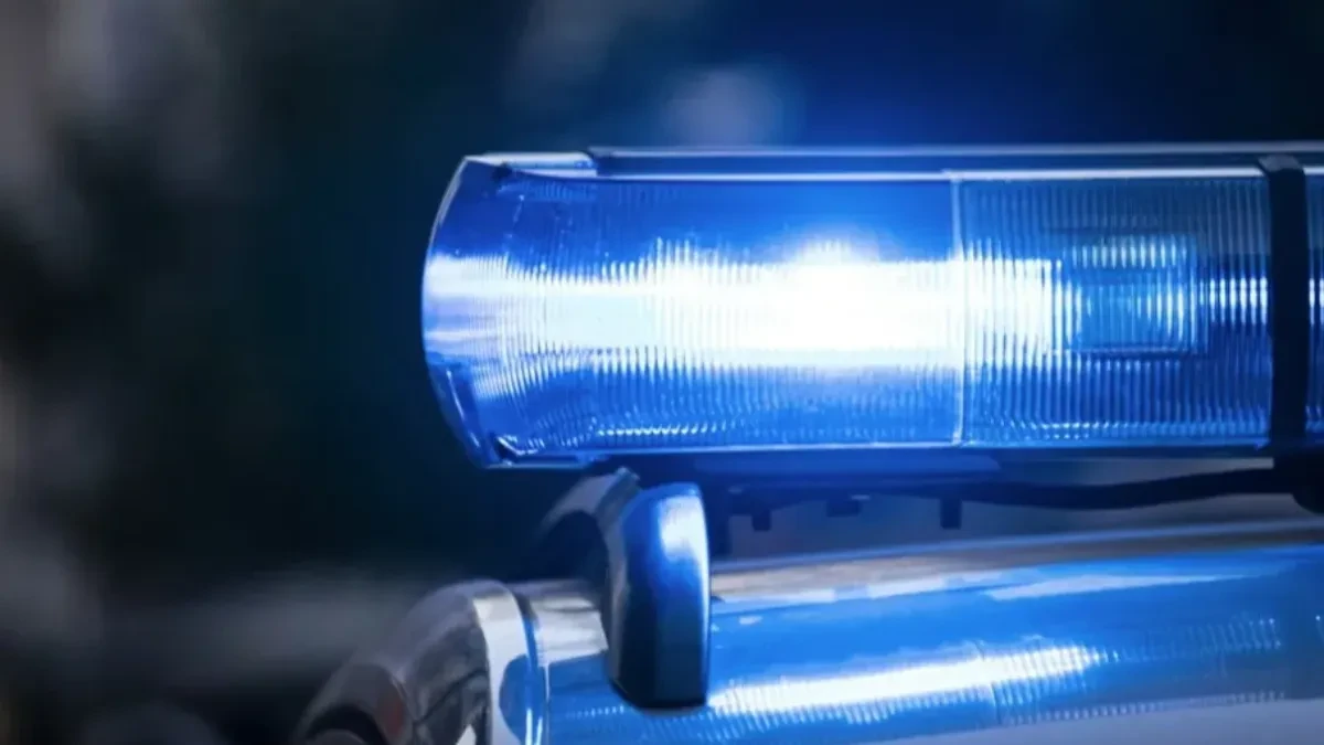 Devojčica (4) stradala od strujnog udara: Posetila babu i dedu pa nastao horor u kući