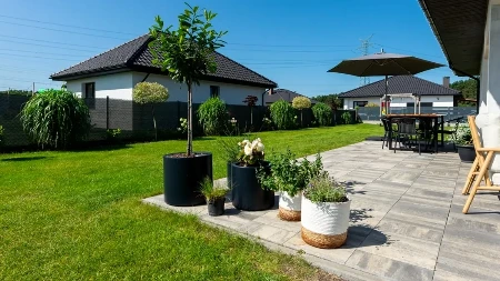 Komšije će misliti da imate nove: Uz 3 sastojka iz kuhinje betonske staze blistaju!