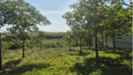 Na prodaju plac na Fruškoj gori za 21.000 evra! Ovde može da se digne sjajna vikendica