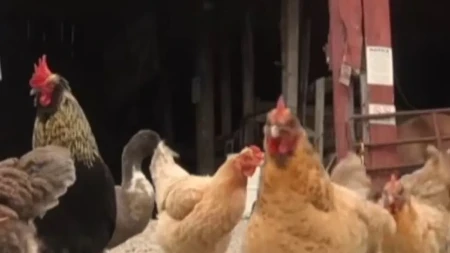 Zatvoreni KFC pretvaraju u nеšto što niko nije mogao ni da zamisli: Internet gori zbog ove ideje