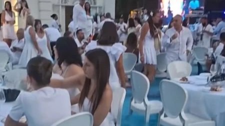 Sedeli za stolom, a noge u bazenu: Kada vidite šta pliva oko gostiju, biće vam jasno zašto je internet eksplodirao