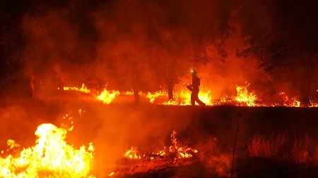 Španija u šoku: Nisu visoke temperature, otrkiveni krivci za najveći požar u istoriji zemlje