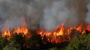 Požari gutaju sve pred sobom! Hitno evakuisano hiljade ljudi, gore jahte i kampovi (VIDEO)