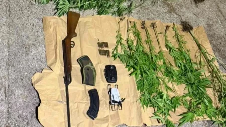 Uhapšeni otac i sin iz Nikšića! U plasteniku pronađena plantaža marihuane, zaplenjeni oružje i dron