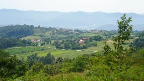 Srpsko selo postaje turistički biser: U Mušićima planiran kompleks od sedam vila, svaka će imati solarnu elektranu