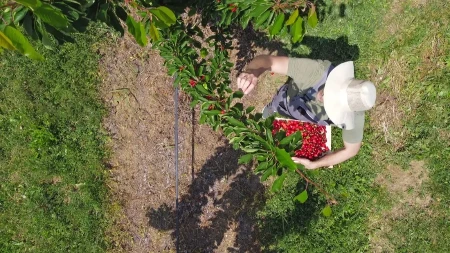 Srbi sve češće ulažu u ovo, a nije stan - mali biznis koji može da donese dodatnu zaradu