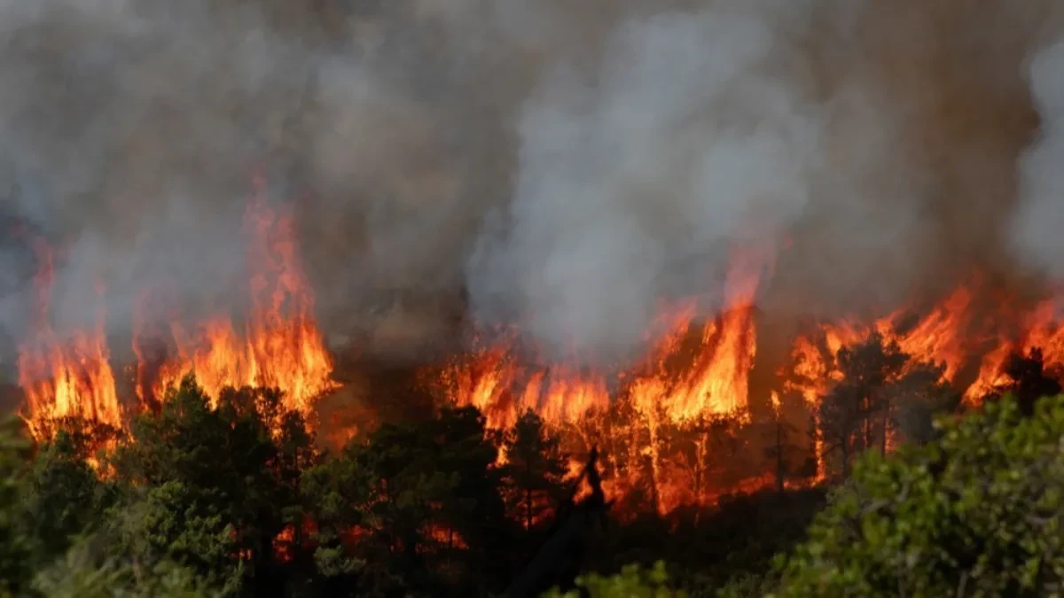 Veliki požar u Grčkoj: Vatra se približava kućama, građani u panici (VIDEO)