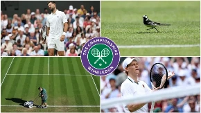 Vimbldon - sedmi dan: Siner ima zicer, Novak u četvrtfinalu, a imamo i prvu diskvalifikaciju