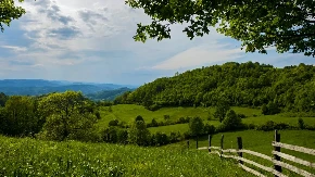 Ko ne ide na more, beži na planinu - kafa sa ratlukom 150 dinara, lepinja sa kajmakom 350