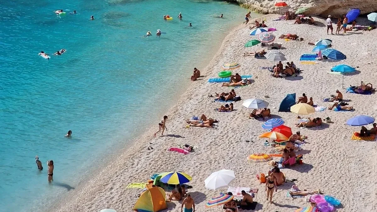 Panika, pa oduševljenje na plaži u Grčkoj: Došla je sa pučine, pa zaplivala tik uz kupače 