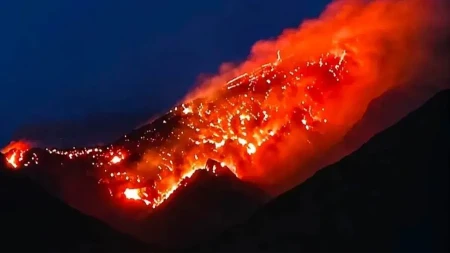 Vatrena stihija guta sve pred sobom: Požar iz Hrvatske prešao u BiH, plamen stigao do samih kuća!