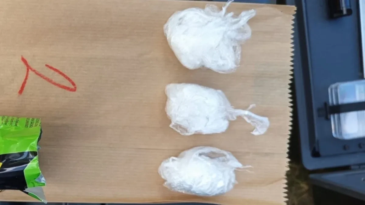 Akcija SBPOK u Inđiji! Pali osumnjičeni dileri, kod njih pronađeni kokain, velika količina novca i oprema za merenje droge