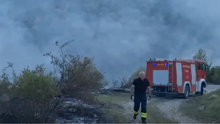 Izgorelo 20 hektara zemlje: Požar u Nišu progutao barake i plastenike (VIDEO)