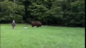 Sekunde su delile turistu od tragedije: Grdosija ga oborila i stala iznad njega, spas je stigao u poslednji čas (VIDEO)