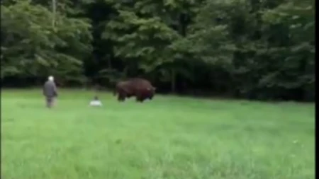 Sekunde su delile turistu od tragedije: Grdosija ga oborila i stala iznad njega, spas je stigao u poslednji čas (VIDEO)