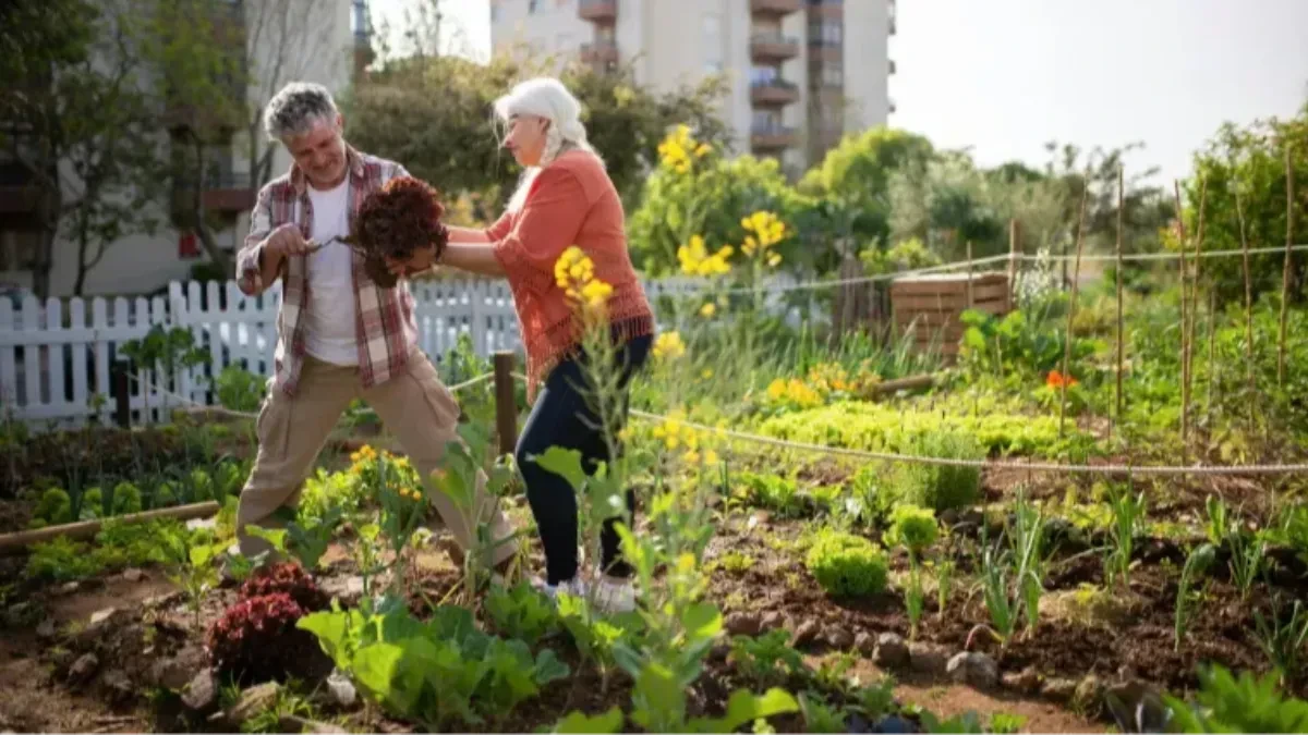 Ne ostavljajte baštu praznu u avgustu: Posejte ovo povrće sada i imaćete šta da berete sve do mraza