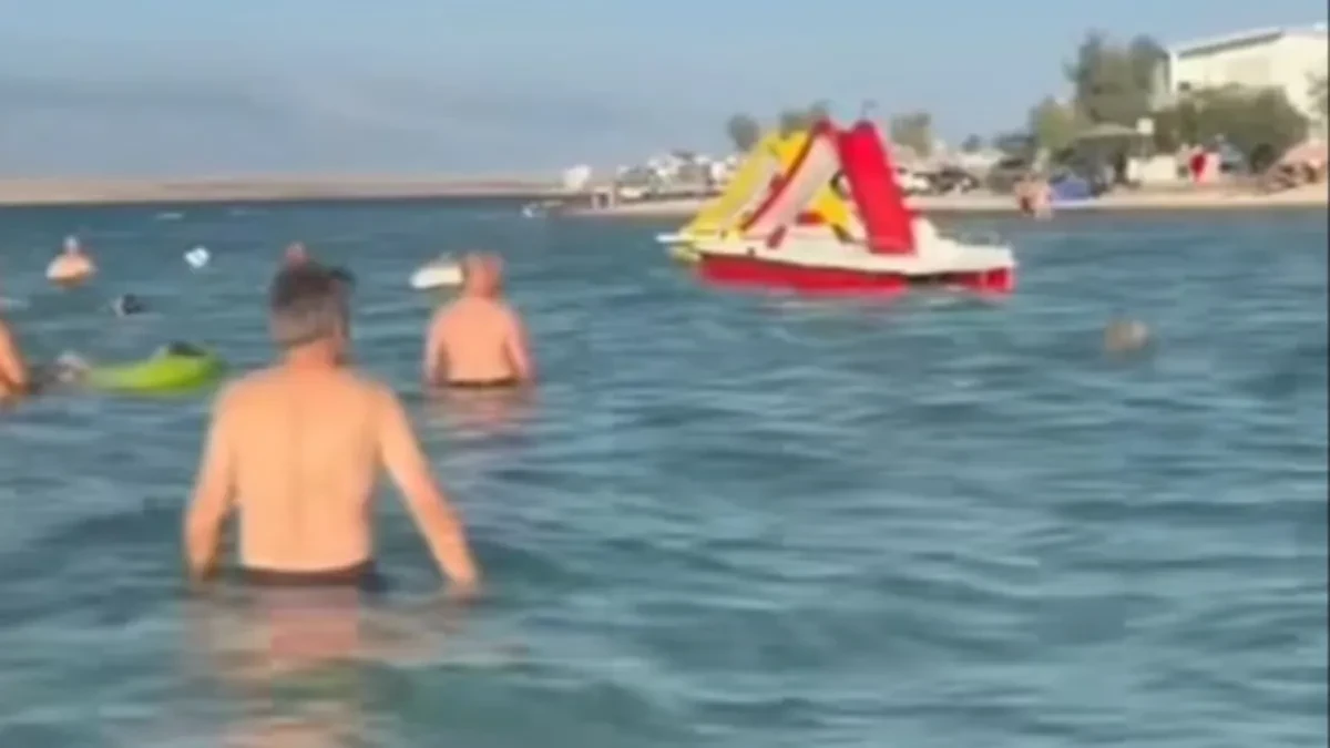 „Marš iz mora!“Ugledao kućnog ljubimca među kupačima, pa poludeo - njegova reakcija zapalila mreže!