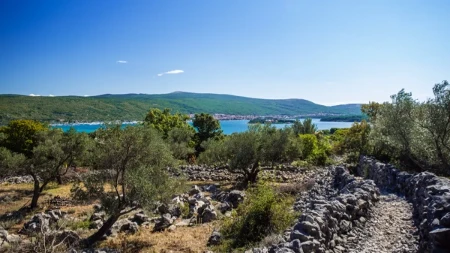 Jedna devojka nađena živa u moru! Traga se za još troje mladih koji su nestali na Jadranu