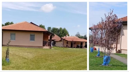 Porodično imanje kod Topole kao stvoreno za decu: Dve kuće, 58 ari i voćnjak, a sve je odmah useljivo