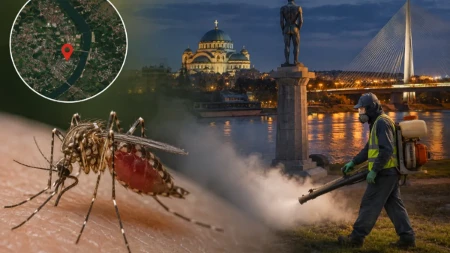 Alarm u Beogradu, detektovan opasan virus! Zaražena životinja locirana u ovom delu grada
