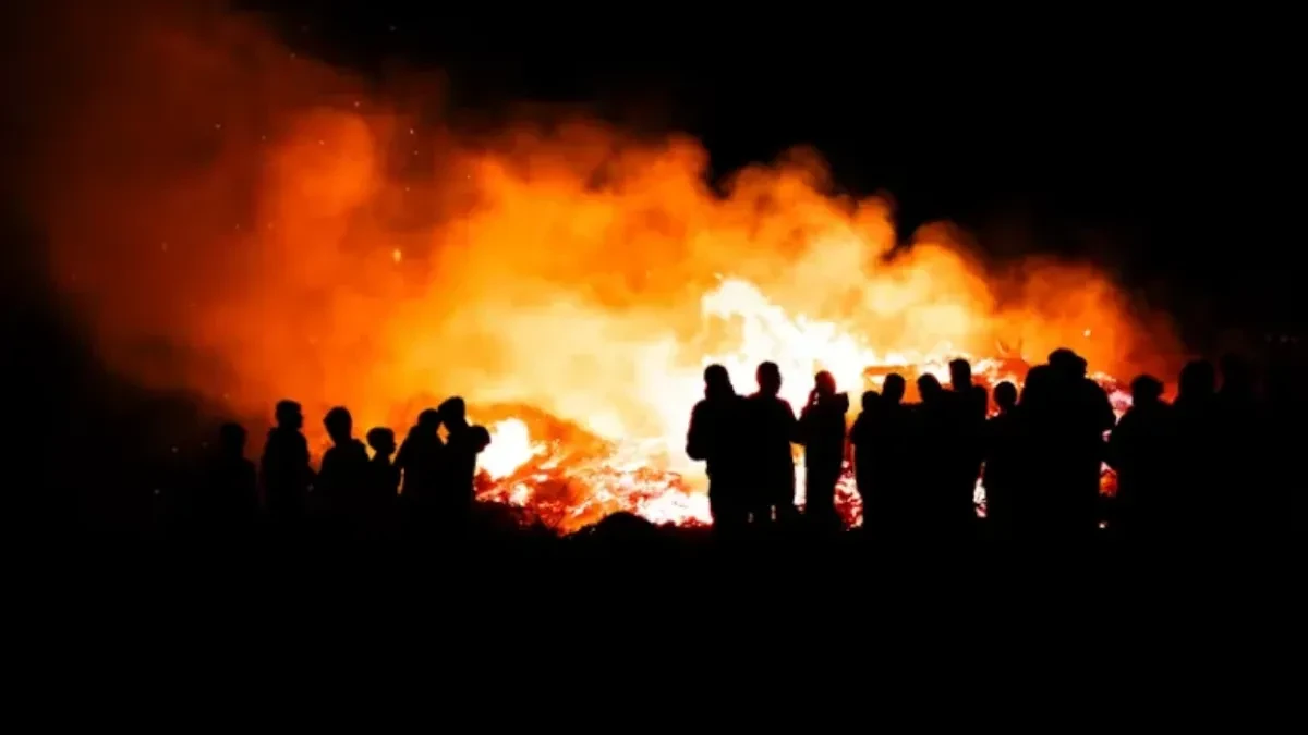 Buknuo požar na granici Srbije i Hrvatske: Vatra zahvatila obe strane, vatrogasci na terenu